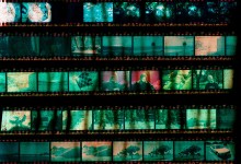 Film: Is it dying?